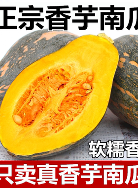 正宗广西香芋南瓜宝宝辅食芋头味老小南瓜新鲜蔬菜非贝贝板栗南瓜