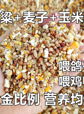 高梁麦子玉米碎混合喂鸡玉米粉碎渣玉米糁鸡鸭粮食鸽子粮兔猪仓鼠