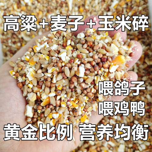 高梁麦子玉米碎混合喂鸡玉米粉碎渣玉米糁鸡鸭粮食鸽子粮兔猪仓鼠