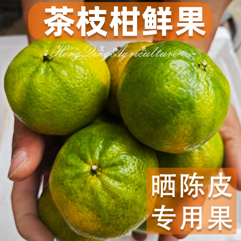 【陈皮专用果实】新会柑茶枝柑陈皮圈枝二红柑大红柑小青柑新鲜果