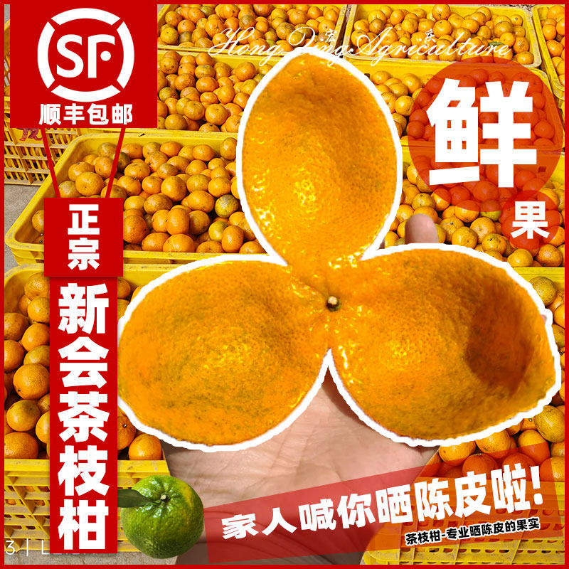 【陈皮专用果实】新会柑鲜果茶枝柑陈皮大青柑大红柑果农现摘发货,水产肉类/新鲜蔬果/熟食,桔子,淘宝优惠券,粉丝福利购,淘宝优惠卷