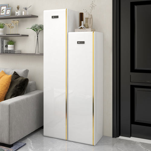 鞋柜家用现代轻奢风杀菌消毒鞋架