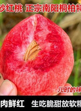 现摘现发桐柏朱砂红桃血桃