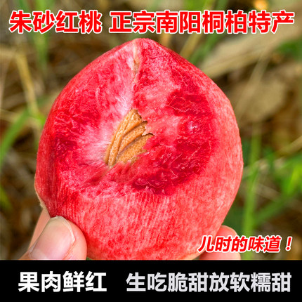 桐柏朱砂红桃胭脂红桃血桃应季新鲜水果现摘现发顺丰包邮5斤箱装
