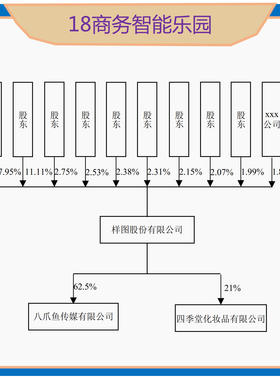 股权穿透图股权穿透表对外投资架构图多级穿透pp-t viso owrd
