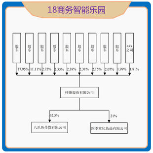 股权穿透图股权穿透表对外投资架构图多级穿透pp-t viso owrd