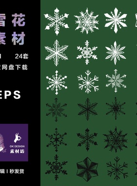 Adobe Illustrator 圣诞除夕新年冬天写实雪花 可编辑时ai元素pop
