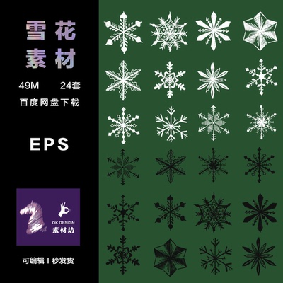 Adobe Illustrator 圣诞除夕新年冬天写实雪花 可编辑时ai元素pop