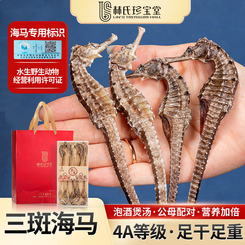 三斑海马公母中秋送礼盒配对中干货药正宗材煲汤泡酒滋补品