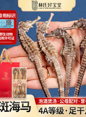 三斑海马公母中秋送礼盒配对中干货药正宗材煲汤泡酒滋补品