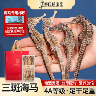 三斑海马公母中秋送礼盒配对中干货药正宗材煲汤泡酒滋补品