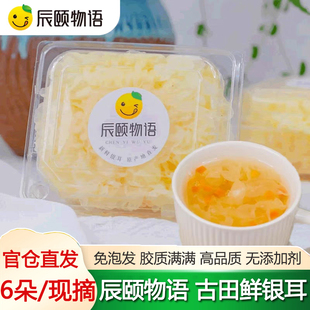 辰颐物语鲜银耳福建古田新鲜现摘无硫白木耳免泡非干货椴木雪耳