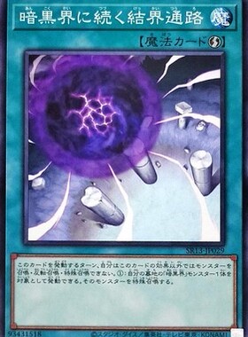 【假面卡牌】游戏王 N平卡 连接暗黑界的结界通路 SR13 日版