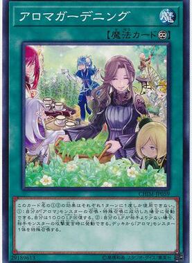 【假面卡牌】游戏王 N平卡 芳香园艺 1010 CHIM 日版