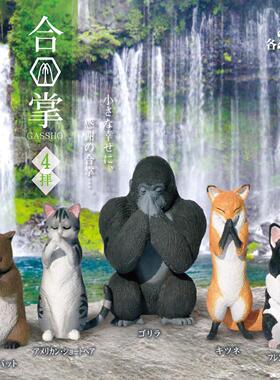 日本YELL扭蛋 合掌祈福动物4袋熊猩猩斗牛犬狐狸潮玩桌面摆件现货