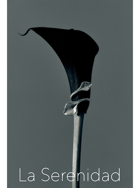 LaSerenidad手心叶缠绕线条开口戒 磨砂金属高级感小众设计可调节