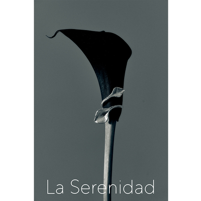 LaSerenidad纯银叶片磨砂开口戒