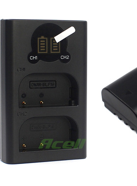 适用于 松下 DMW-BLF19E BLF19GK BLF19PP DC-G9L相机电池+充电器