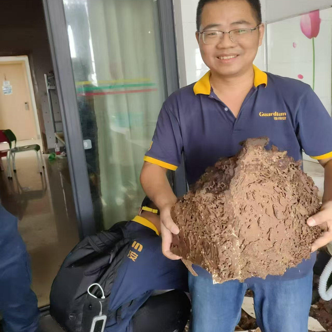 广州杀虫公司上门灭蚊白蚁防治