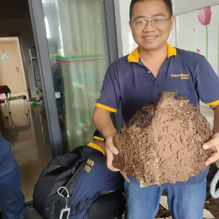 广州杀虫公司除四害灭蚊白蚁防治上门灭鼠服务灭蟑螂专业除虫消杀