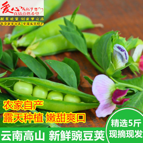 22年最新款豌豆荚新鲜蔬菜