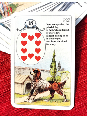 彩色猫头鹰雷诺曼蓝色利诺曼Lenormand正版厚实手感36张中文说明