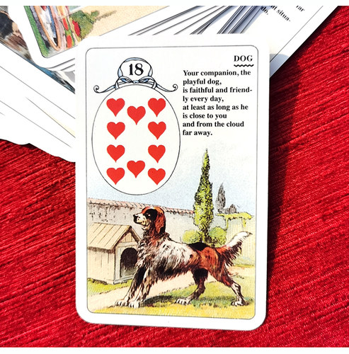 彩色猫头鹰雷诺曼蓝色利诺曼Lenormand正版厚实手感36张中文说明