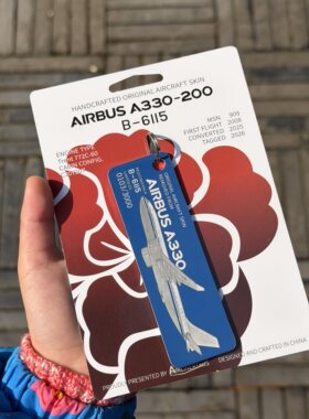 中国国际航空A330-200空客飞机蒙皮B6115文创CA国航钥匙扣挂件