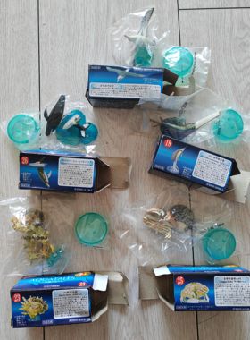 满百包邮正版老货散货海洋堂KAIYODO海洋生物黑潮の鱼第二弹