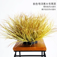 Осень изогнутый лук