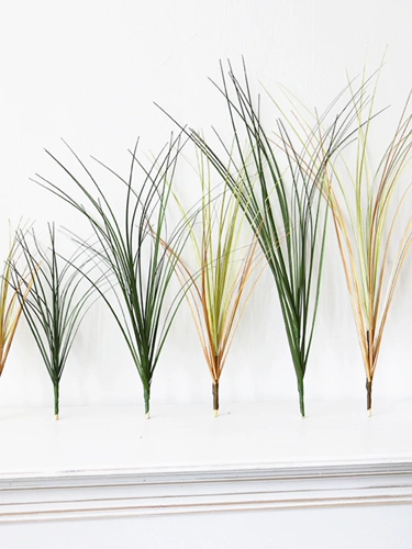 Моделирование одиночное пуковое растительное растительное оборудование