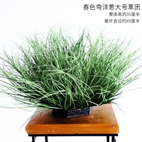 Весной изогнутый лук