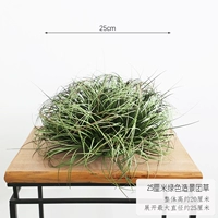 Группа травы в глубине 25 см