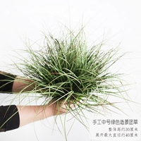 Ручная середина -зеленый пейзаж, пересекающая трава