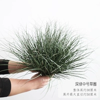 Глубокий зеленый середина травяного круга