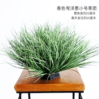 Весенняя изогнутая луковая группа маленькая трава