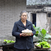 小篱舍农村收购新鲜孕妇土鸡蛋正宗农家自养散养柴草笨蛋50枚 包邮