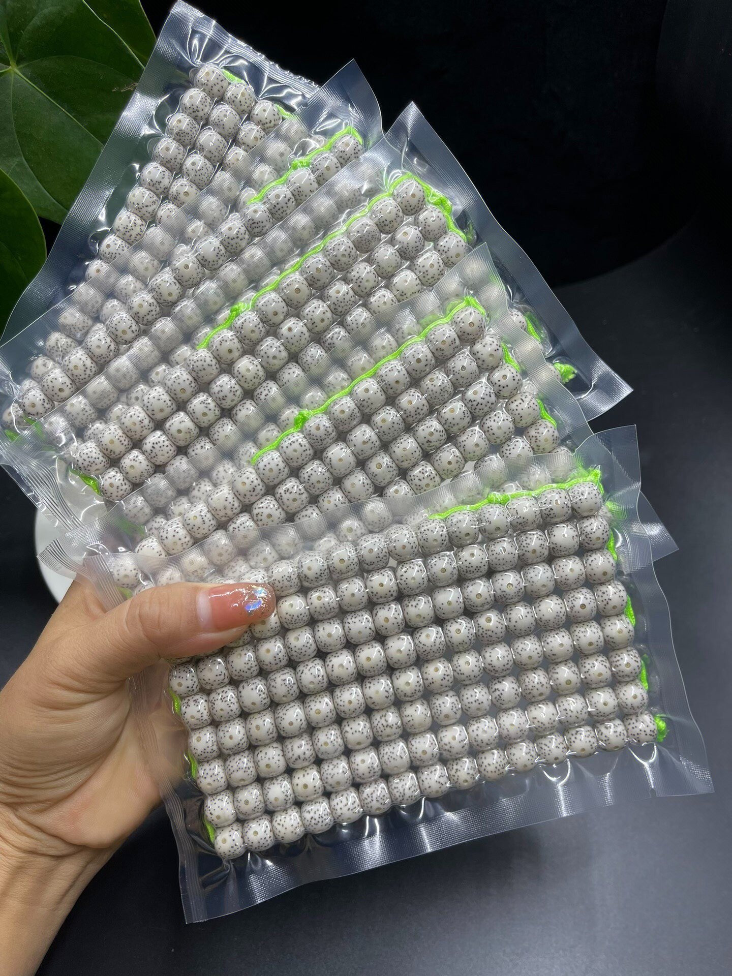 海南星月菩提菩提子佛珠手串顺白老型桶珠108颗高密正月男女手链