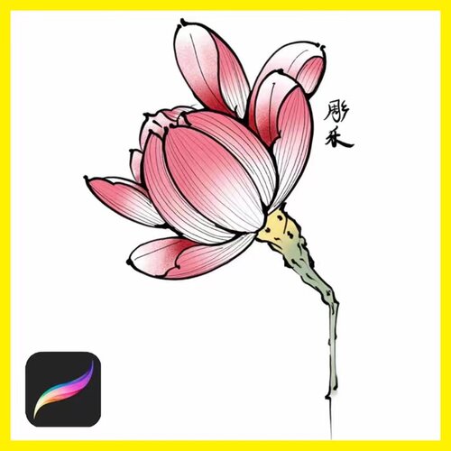 ipad procreate新传统纹身莲花笔刷设计参考绘画软件刺青手稿素材