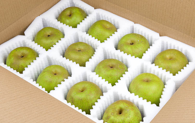 9215新鲜现采上海崇明庙镇联益村蜜汁翠冠梨,精选礼盒装十斤装