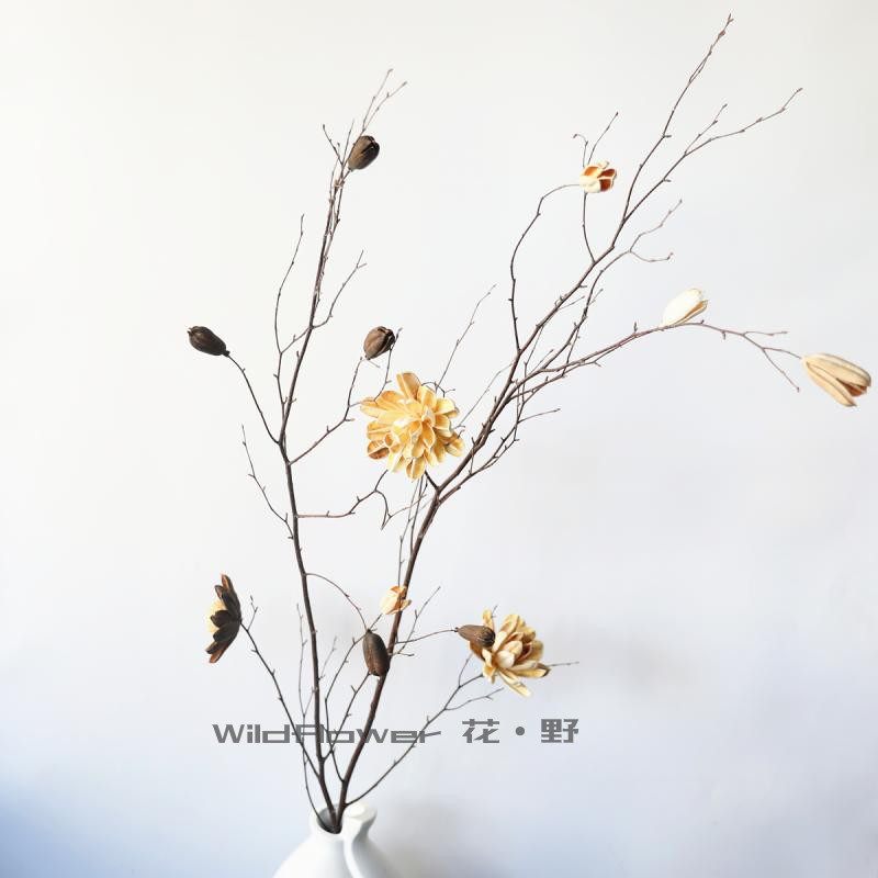 客厅玄关极简禅意干枝新中式天然树枝干花落地陶瓷高花瓶大朵插花