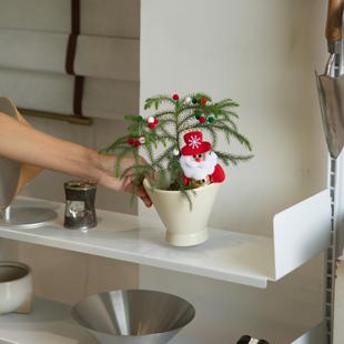 诗与自然 圣诞树南洋杉圣诞节小树小众个性桌面绿植盆栽四季常绿