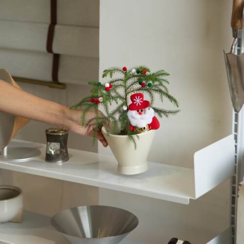 南洋杉圣诞树创意桌面小礼品