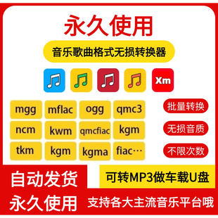 音乐歌曲音频格式ogg mflac mgg ncm kgm m4a flac转mp3转换软件