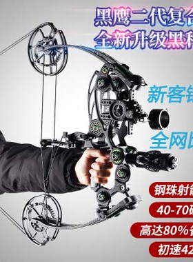 黑鹰两用弓钢珠射箭复合现代弓箭渔猎射程远成年人专业努弓高精度