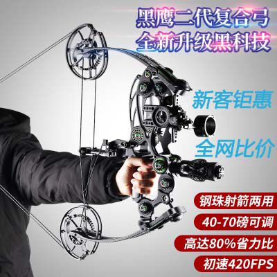 黑鹰两用弓钢珠射箭复合弓零震动