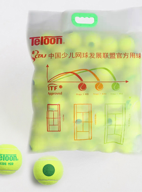 Teloon天龙网球过渡短式减压绿色mid儿童初学青少年短网训练球