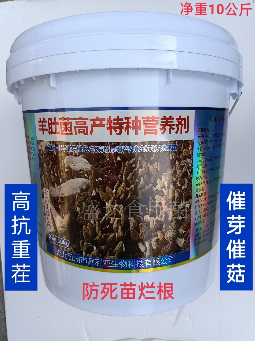 羊肚菌高产特种营养剂增产抗病补充营养菇大壮