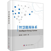 童光毅 科学出版 杜松怀 专业科技 社9787030642615 能源科学 智慧能源体系