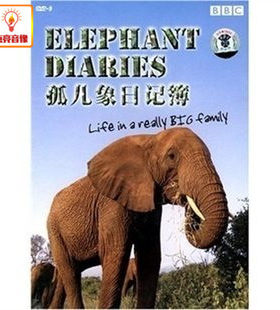 百科音像  孤儿象日记簿 精装D9 DVD【BBC】